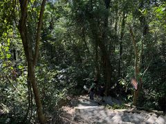 -七仙岭温泉国家森林公园