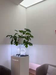 -Dr.U博士医疗美容医院