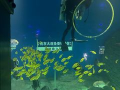 -大连圣亚海洋世界