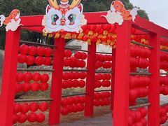 -同里国家湿地公园