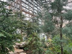 -南山植物园