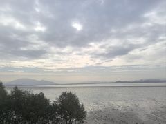 -宝安西湾红树林湿地公园