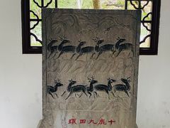 -上海醉白池公园
