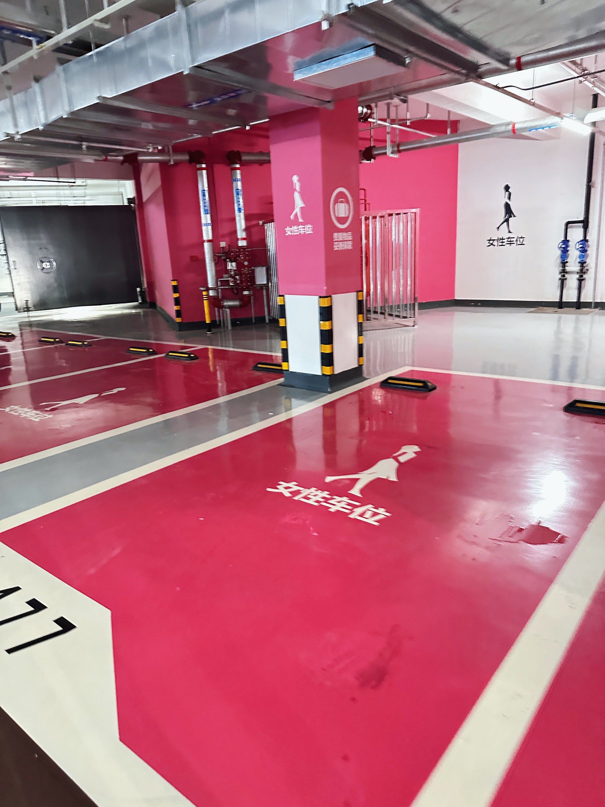 女士专用车位:虽然我觉得我停车技术可以的,但别的商场有些车位窄得