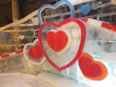 -哈尔滨热雪奇迹