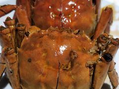 -姜君·千岛湖鱼头馆(浦东大道店)