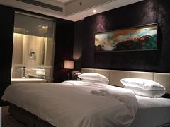 -常州环球恐龙城维景国际大酒店
