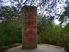 -大青沟风景区