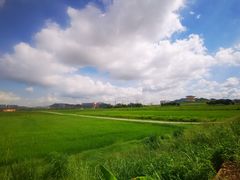 -光明小镇欢乐田园