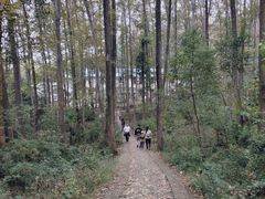 -青龙山国家森林公园
