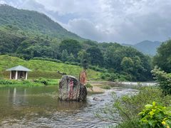 -广州市石门国家森林公园