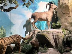 -重庆中国三峡博物馆(重庆博物馆)