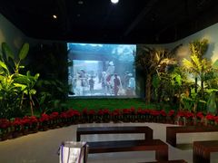 -红色娘子军纪念园