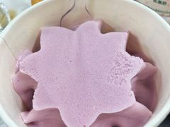 -清华大学-清芬园