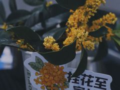 -北芒BEIMO COFFEE(五台山店)