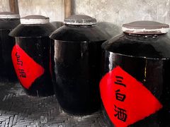 -乌镇东栅景区