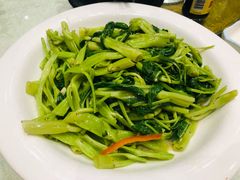 炒青菜-优之名鹅城