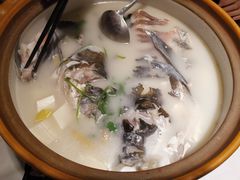 白汤有机鱼头-千岛湖小鱼儿·淳安匠心农家菜