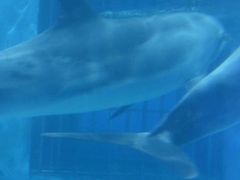 -福州罗源湾海洋世界旅游区