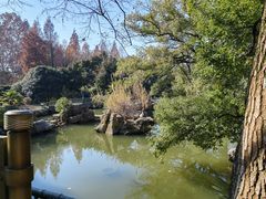 -东湖落雁景区