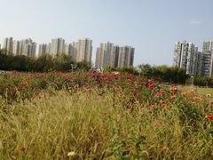 -白塘生态植物园