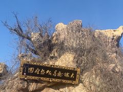 -大槐树寻根祭祖园