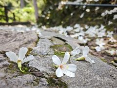 -东南悬空寺方广岩