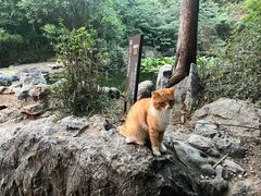 -云龙山