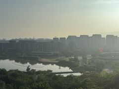-飞凤山奥体公园