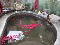 -扬州瘦西湖温泉