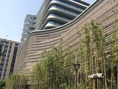 -上海市徐汇区口腔医院