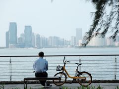 -万绿园