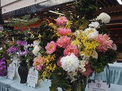 -友谊阳光城