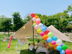 -上海共青森林公园