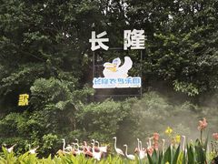 -广州长隆飞鸟乐园