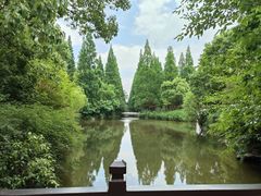 -东平国家森林公园