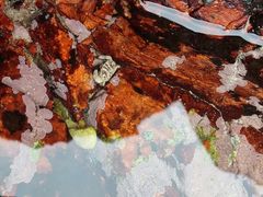 -西涌国际滨海旅游区