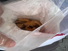 -鸡脚旮旯平江路店