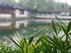-郭庄景区