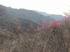 -濂泉响谷