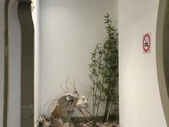 -大富贵(旗舰店)