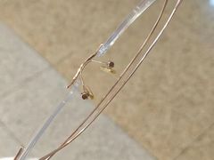 -爱视眸Eyeblling眼镜·依视路·蔡司镜片折扣店(百联南方商城购物中心)