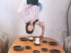 -金山农民画村-枫泾波兰倒置屋