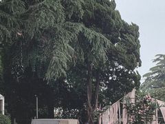 -中山路壹号传奇club·啤酒花园餐厅