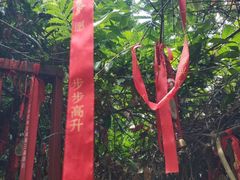-呀诺达热带雨林