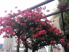 -听香·678茶铺(猛追湾店)
