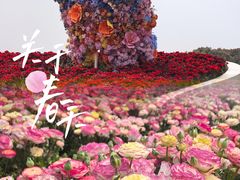 -上海鲜花港