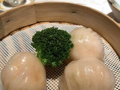 -南海渔村(珠江新城店)