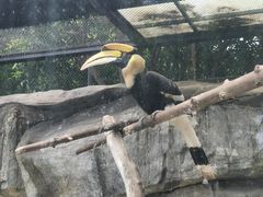 -荆州中山公园动物园