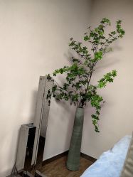 -上海首尔丽格医疗美容医院
